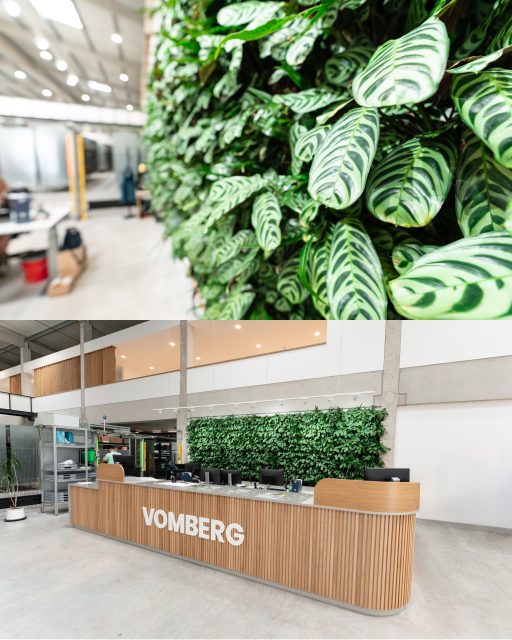 #Architekturfotografie für #Mobilane 📸 Einblick in ein Shooting rund um innovative #Fassadenbegrünung für innen und außen. 🌿#sonyalpha #jnphotografics