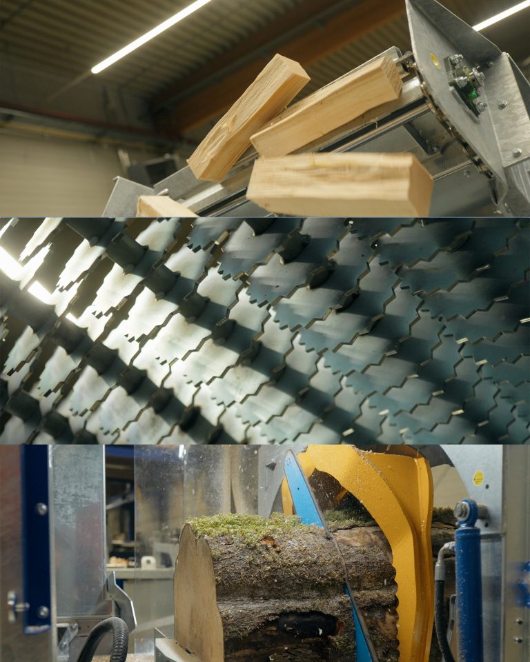 B2B Forstwirtschaft Fotografie – Baumernte mit fortschrittlicher Technik