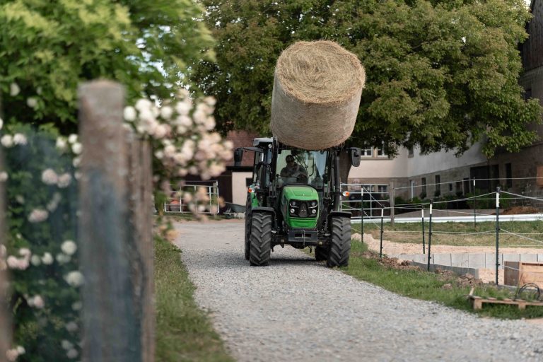 Bulldog transportiert frisches Heu – professionelle Arbeitsfotografie auf dem Pferdehof