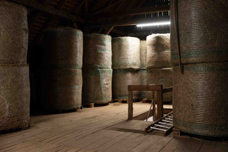 Heuboden mit Bio-Heu – hochwertige Pferdehof- und Stallfotografie