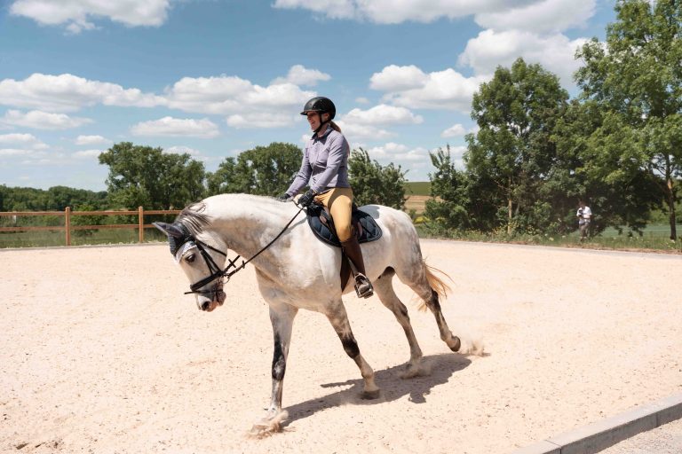 Pferd auf frisch abgezogenem Reitplatz – professionelle Pferdefotografie für Reitstall