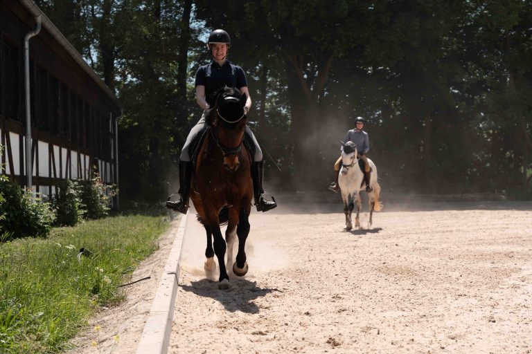 Zwei Pferde nach dem Galopp auf dem Reitplatz – professionelle Pferdefotografie für Reitstall