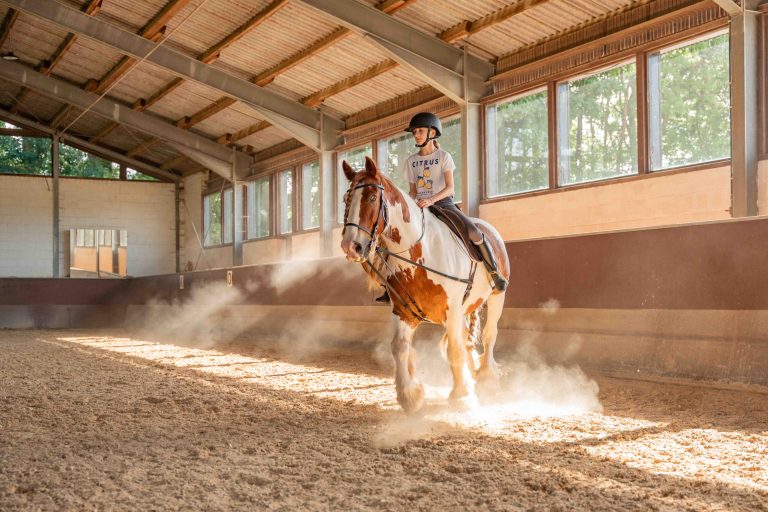 Kind reitet Pferd in Reithalle – professionelle Pferdefotografie für Reitstall